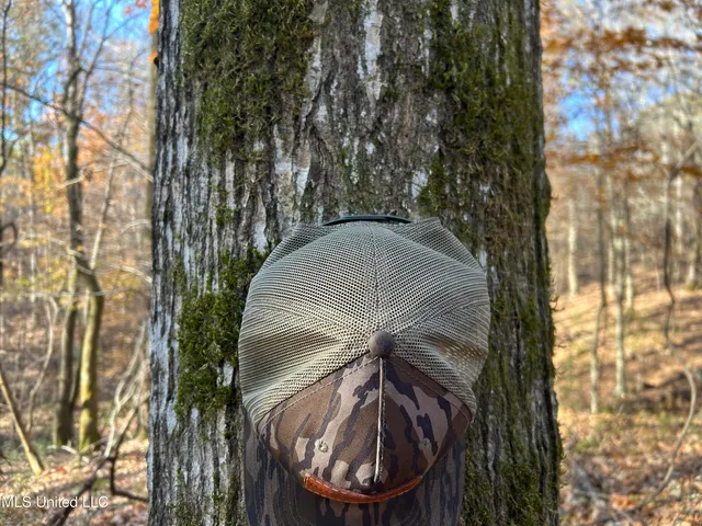 $192,500 | Henderson Road, Bentonia, MS 39040