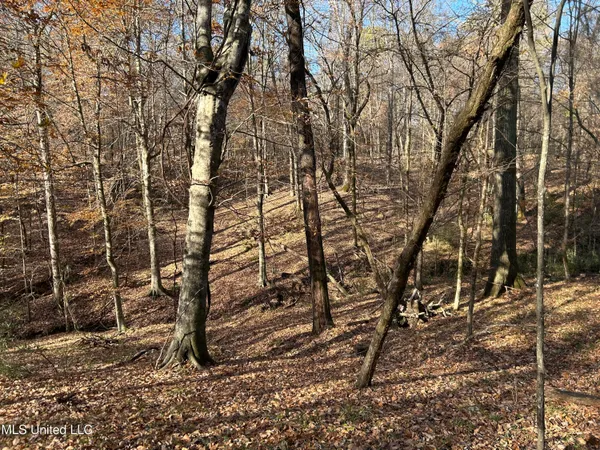 $192,500 | Henderson Road, Bentonia, MS 39040