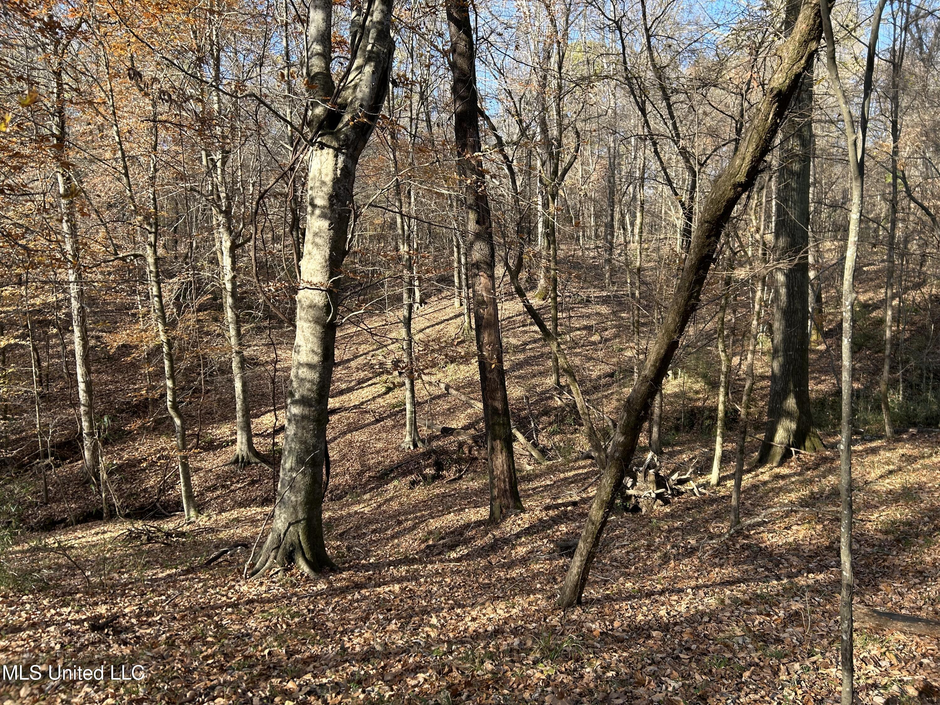 Henderson Road Bentonia, MS 39040 - Photo 27 of 59 Photo Dec 12 2025, 9 42 22 AM