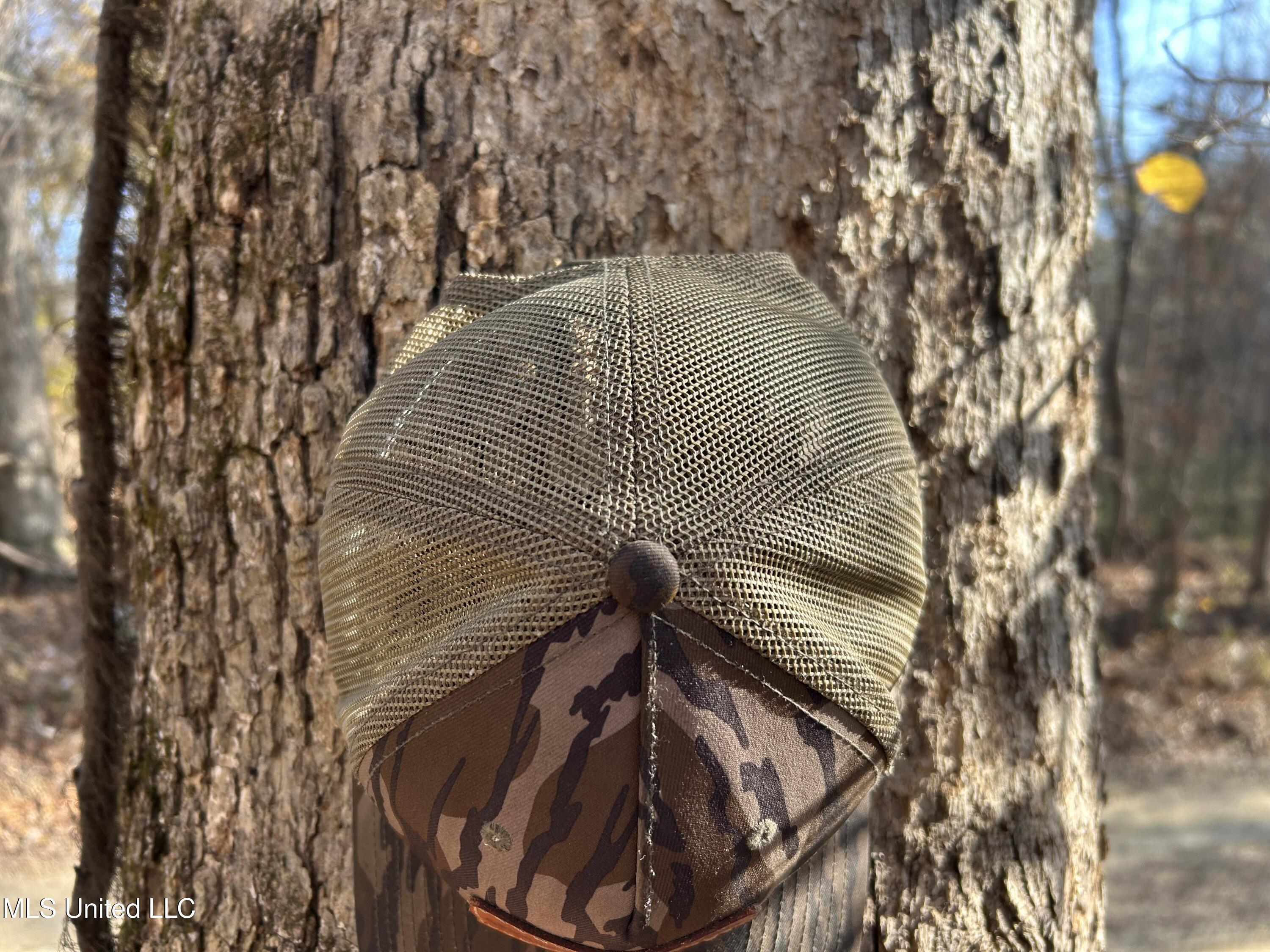 Henderson Road Bentonia, MS 39040 - Photo 28 of 59 Photo Dec 12 2025, 9 44 02 AM