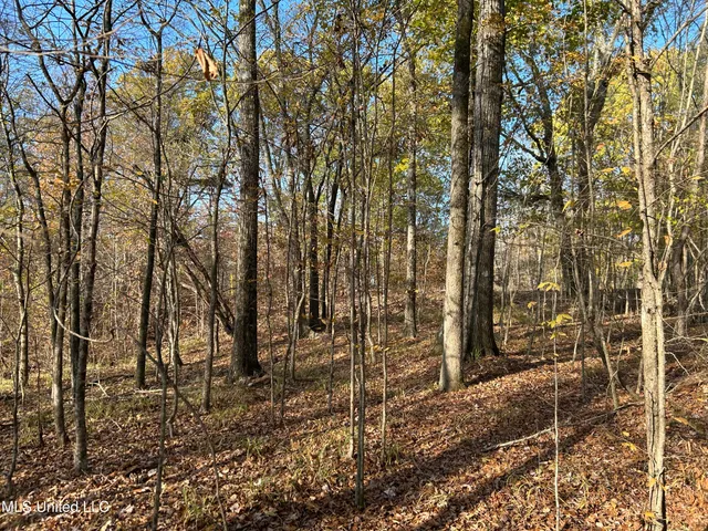 $192,500 | Henderson Road, Bentonia, MS 39040