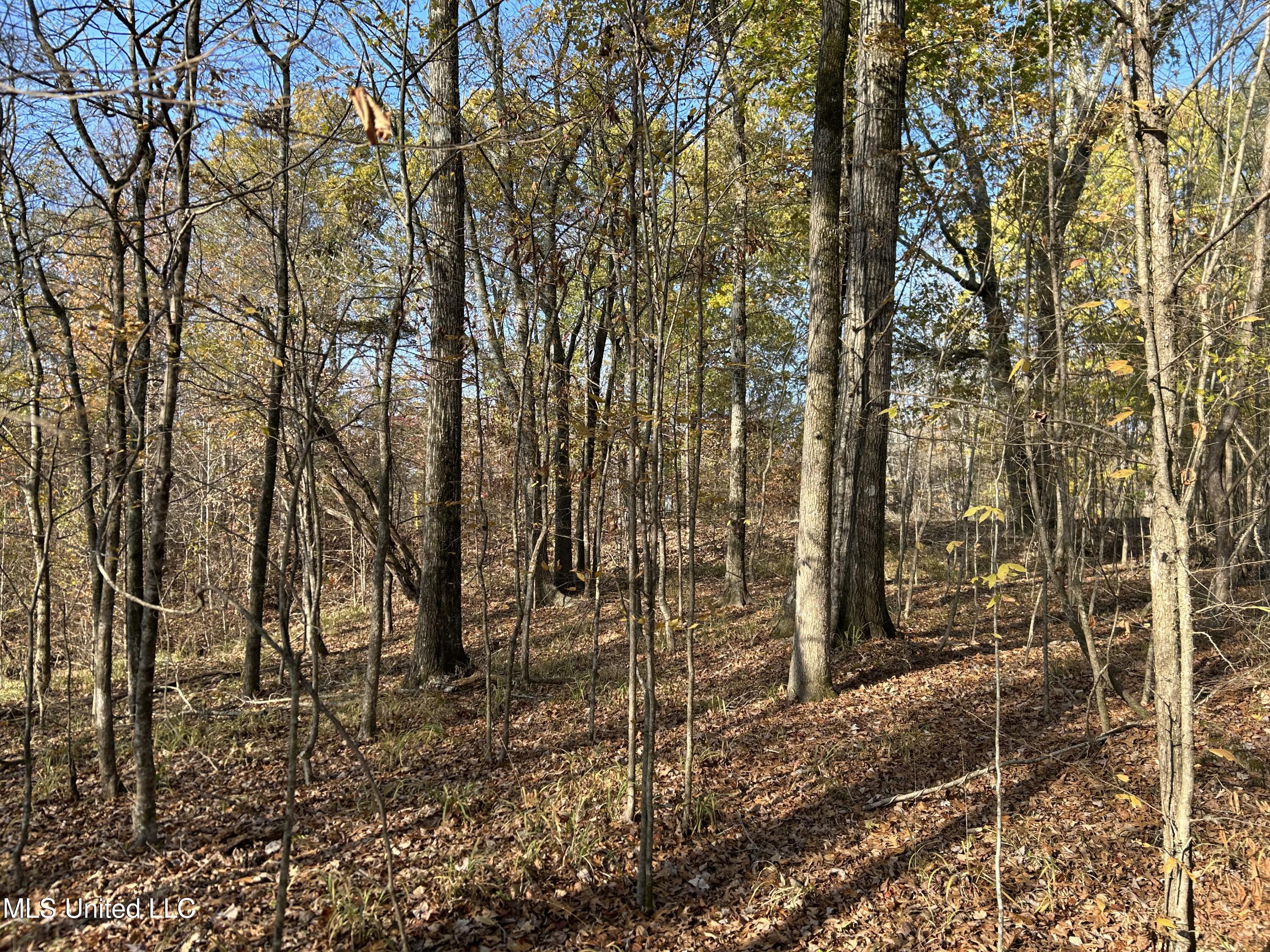 Henderson Road Bentonia, MS 39040 - Photo 29 of 59 Photo Dec 12 2025, 9 44 07 AM