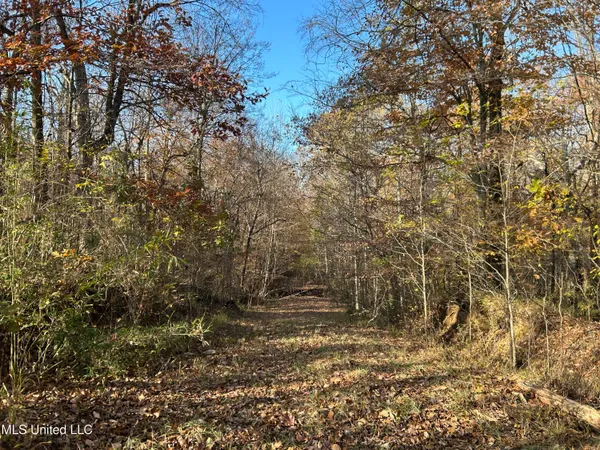 $192,500 | Henderson Road, Bentonia, MS 39040