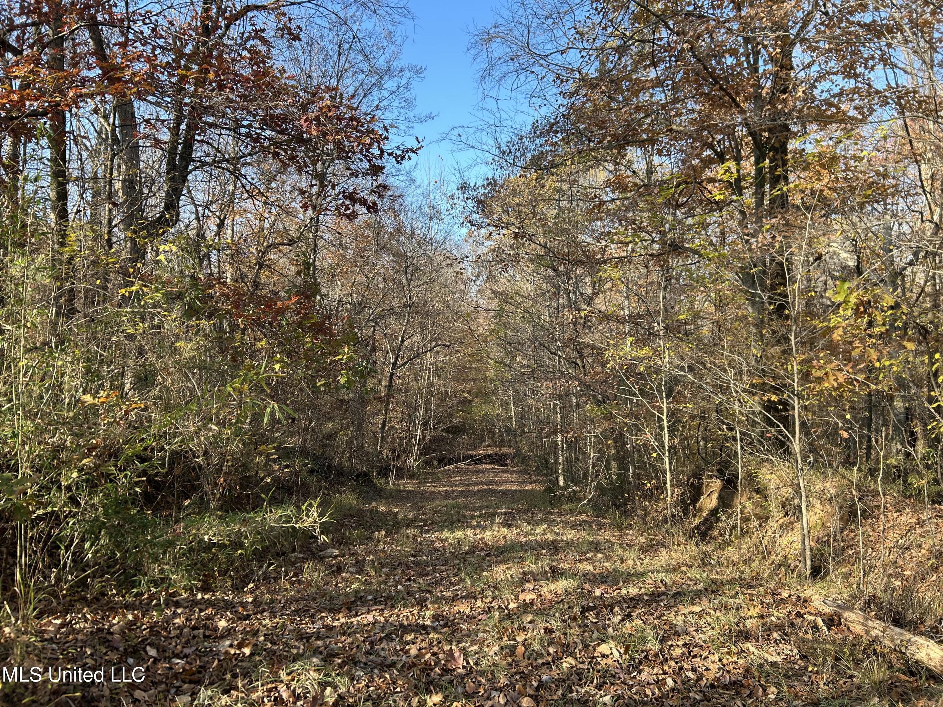 Henderson Road Bentonia, MS 39040 - Photo 30 of 59 Photo Dec 12 2025, 9 45 13 AM