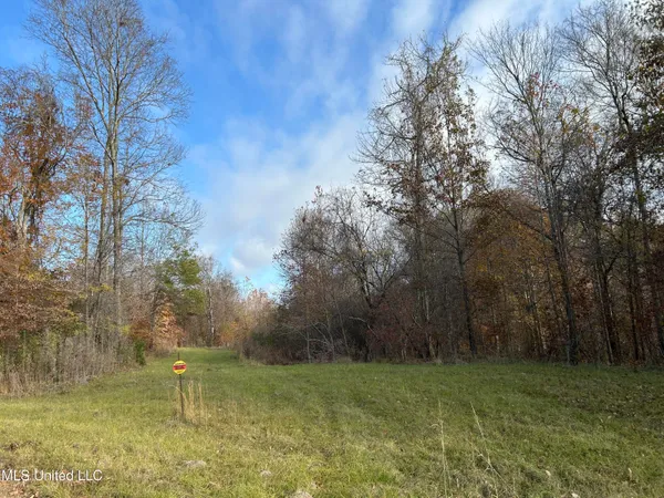 $192,500 | Henderson Road, Bentonia, MS 39040