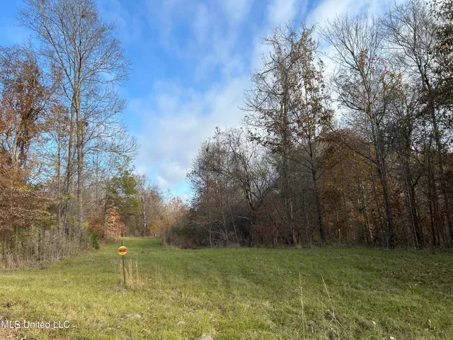 $192,500 | Henderson Road, Bentonia, MS 39040