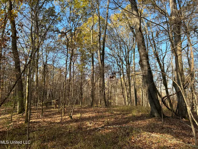 $192,500 | Henderson Road, Bentonia, MS 39040