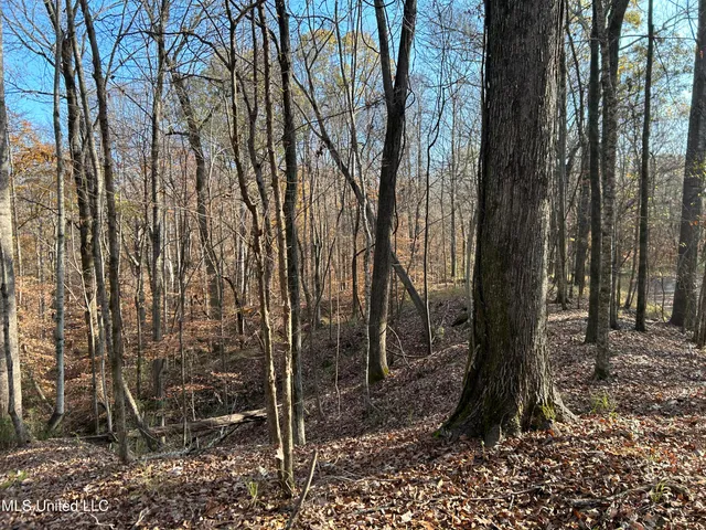 $192,500 | Henderson Road, Bentonia, MS 39040