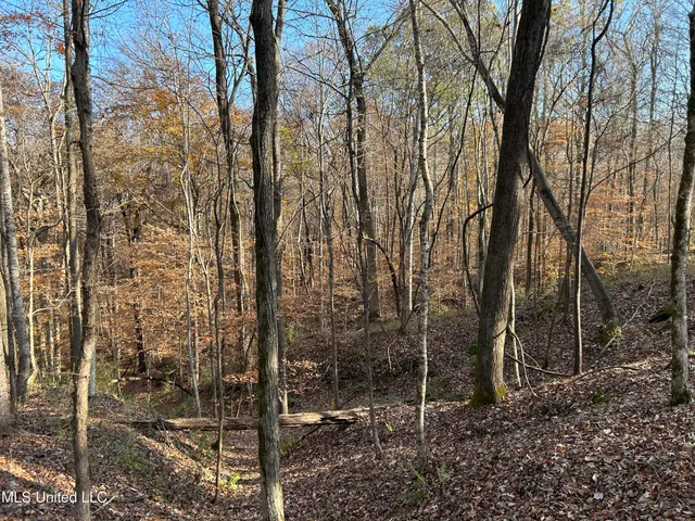 $192,500 | Henderson Road, Bentonia, MS 39040