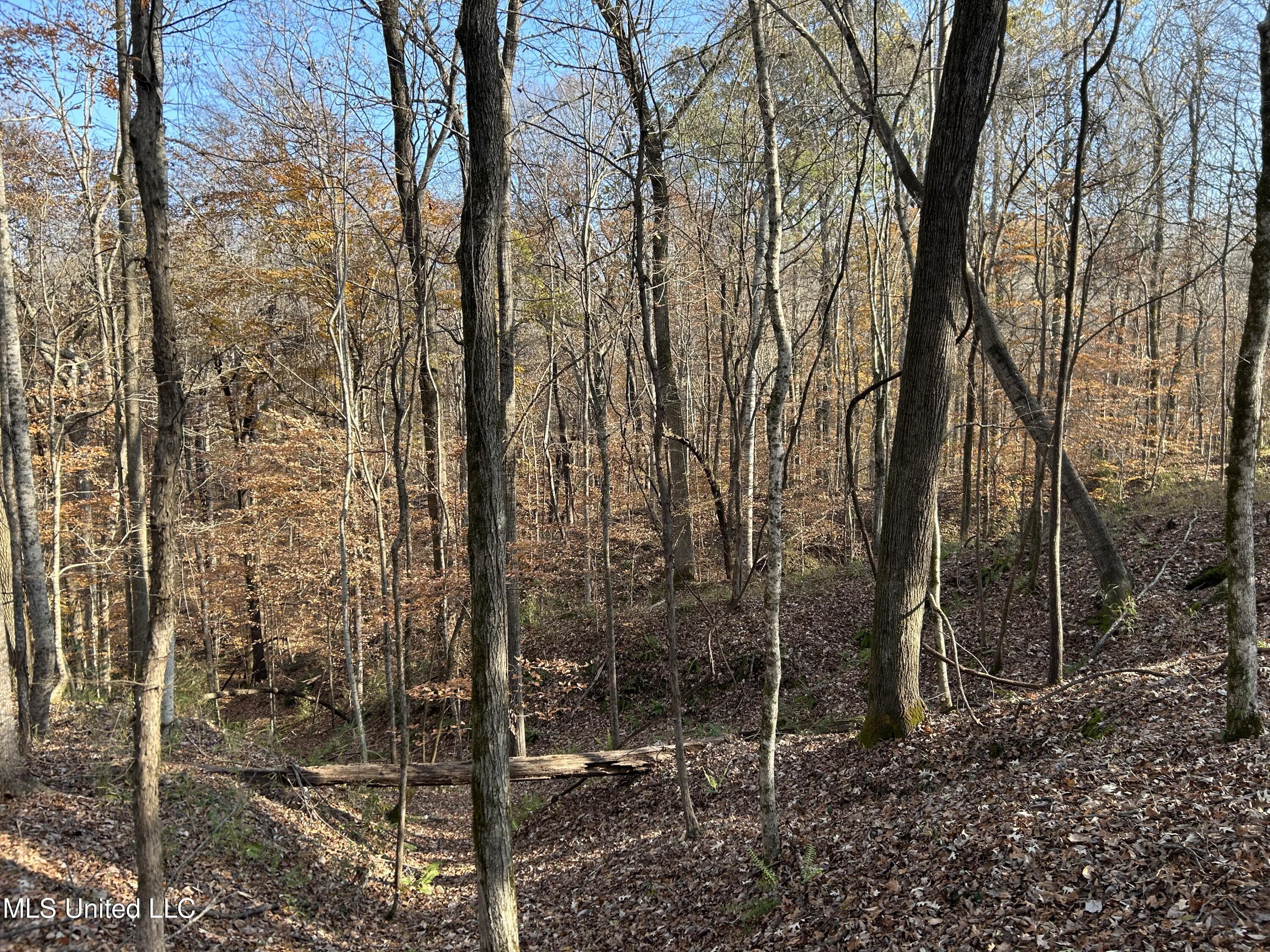 Henderson Road Bentonia, MS 39040 - Photo 33 of 59 Photo Dec 12 2025, 9 47 41 AM