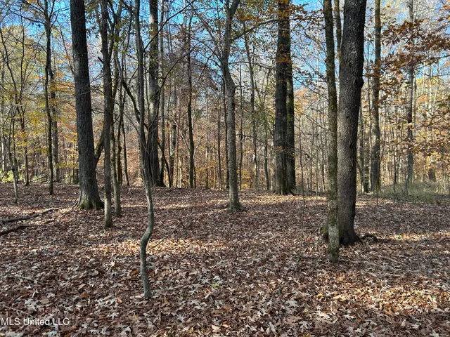 $192,500 | Henderson Road, Bentonia, MS 39040