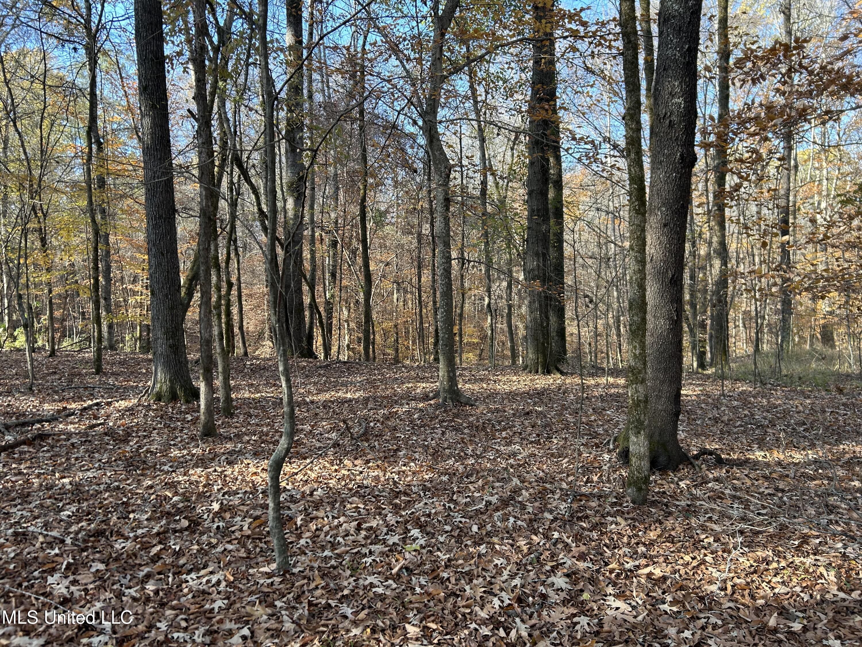 Henderson Road Bentonia, MS 39040 - Photo 34 of 59 Photo Dec 12 2025, 9 49 15 AM