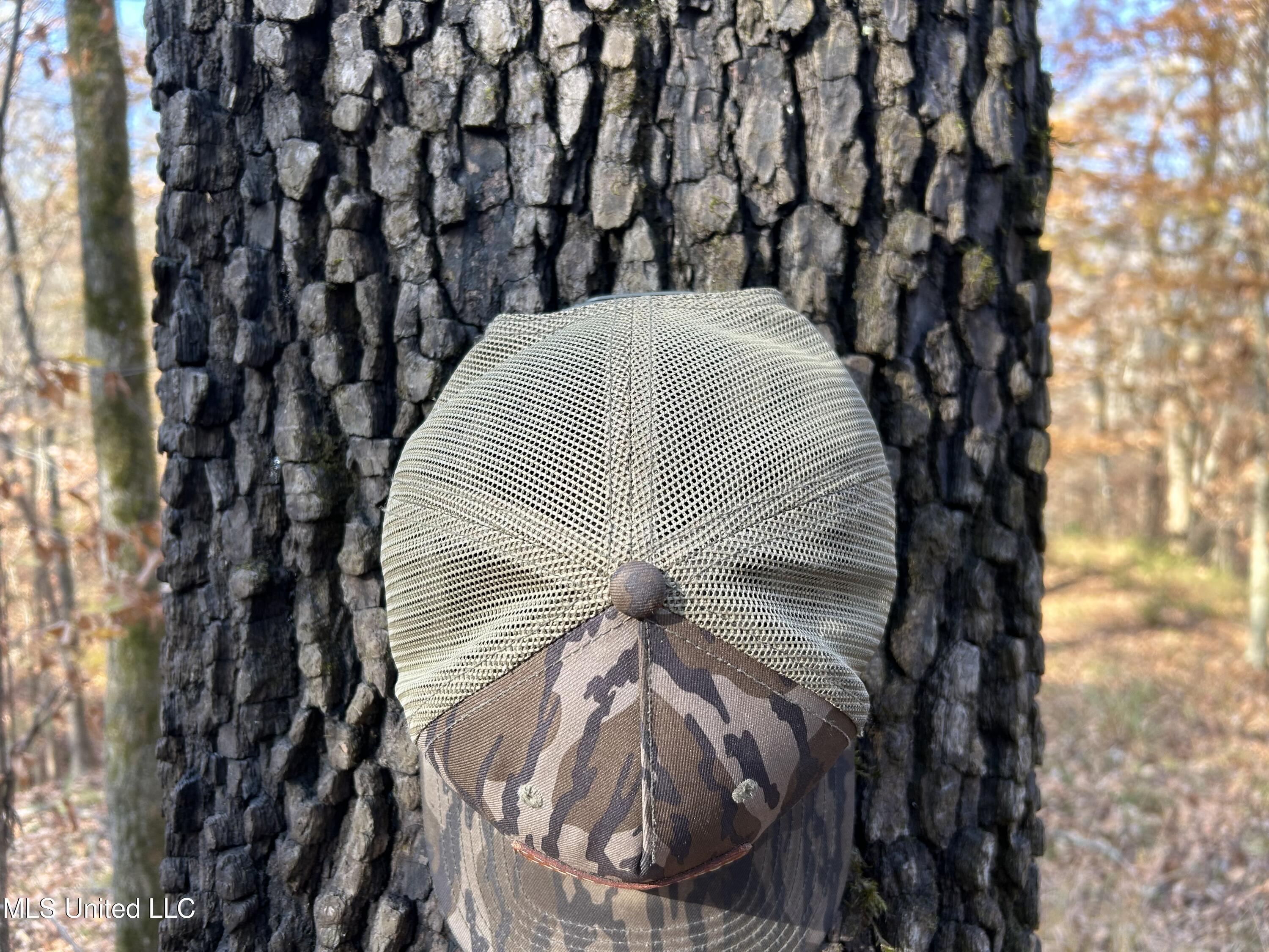 Henderson Road Bentonia, MS 39040 - Photo 35 of 59 Photo Dec 12 2025, 9 49 47 AM