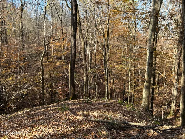 $192,500 | Henderson Road, Bentonia, MS 39040