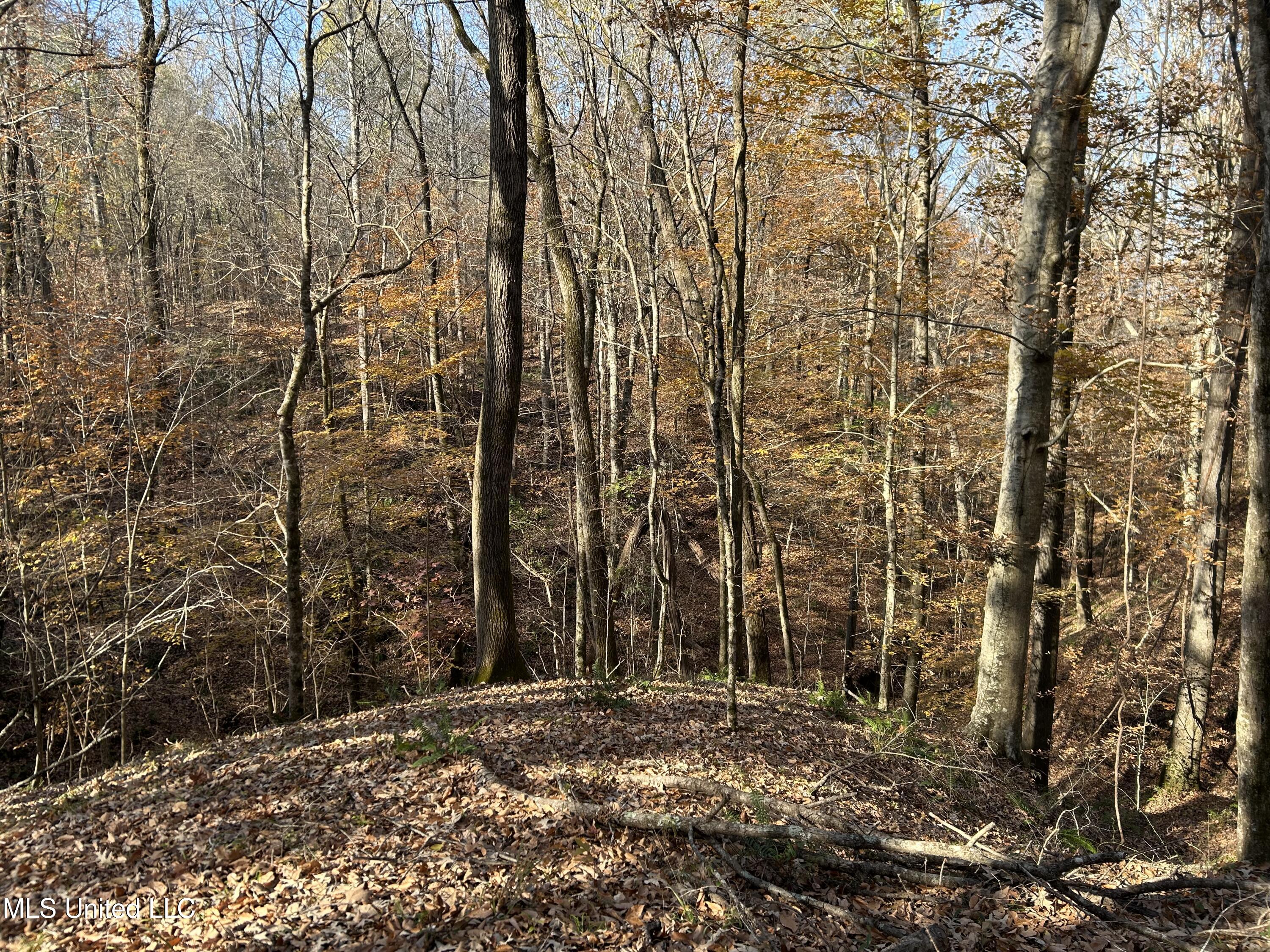 Henderson Road Bentonia, MS 39040 - Photo 36 of 59 Photo Dec 12 2025, 9 50 07 AM