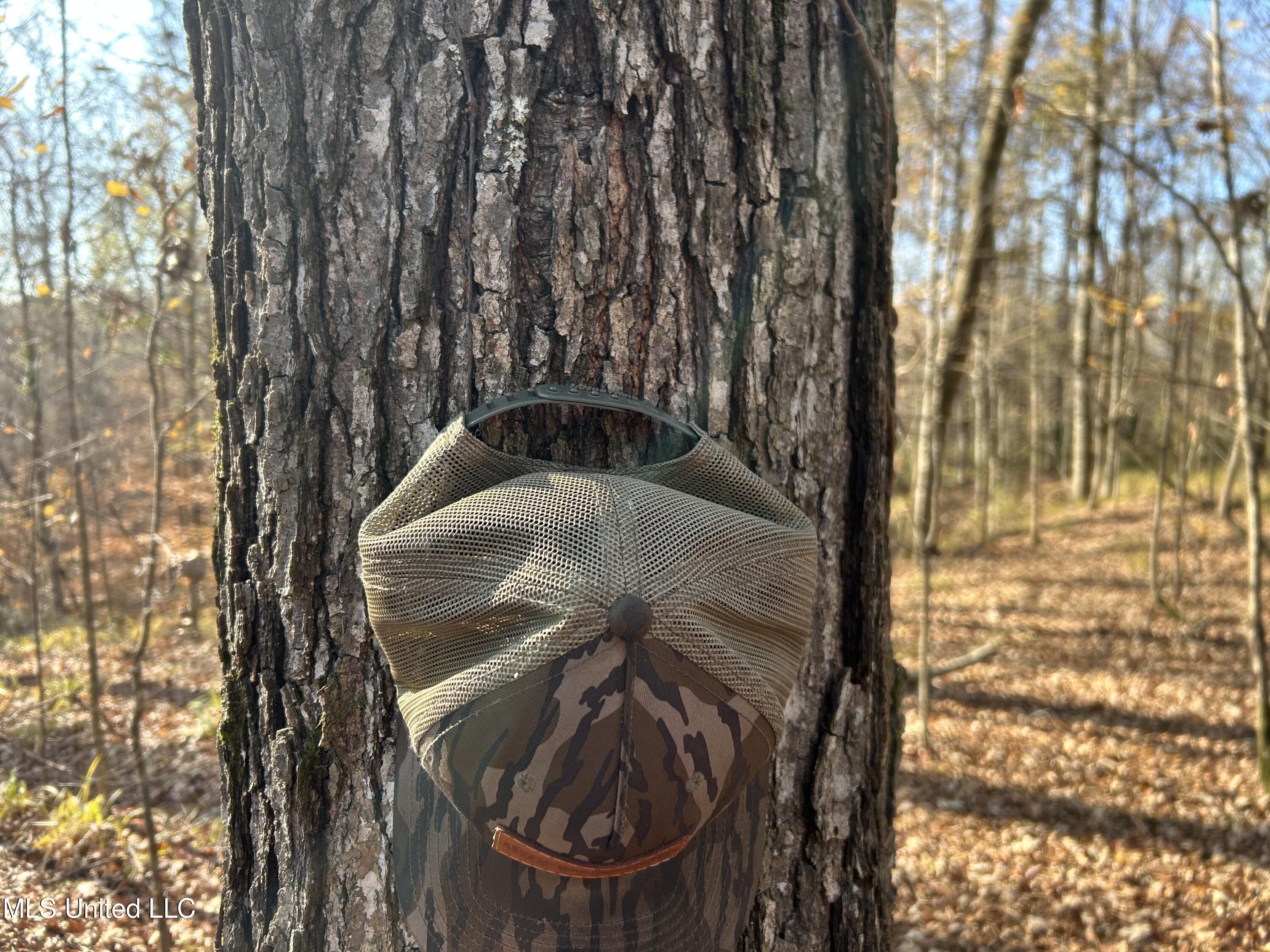 Henderson Road Bentonia, MS 39040 - Photo 37 of 59 Photo Dec 12 2025, 9 52 31 AM