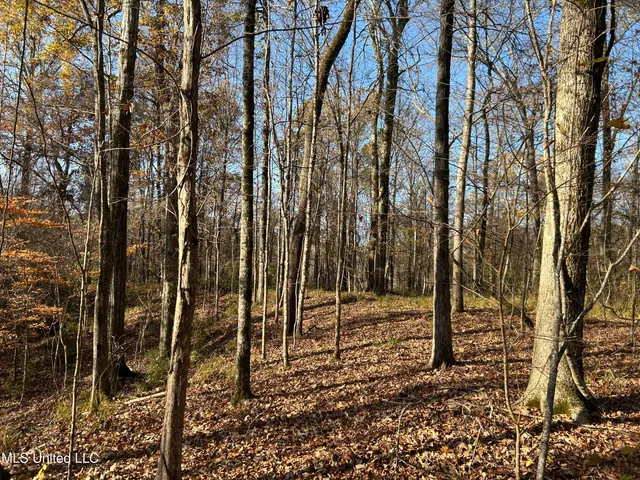 $192,500 | Henderson Road, Bentonia, MS 39040