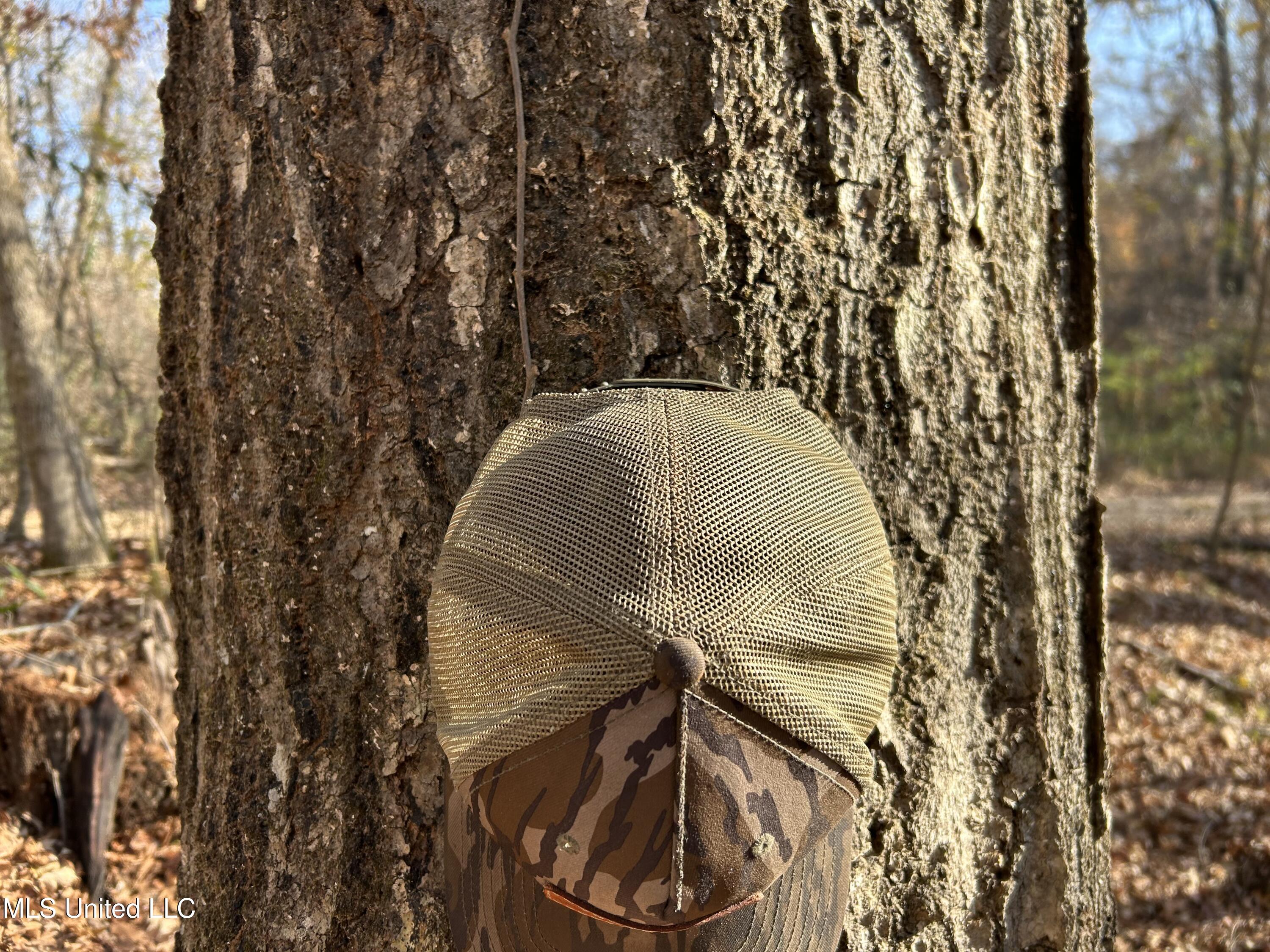 Henderson Road Bentonia, MS 39040 - Photo 39 of 59 Photo Dec 12 2025, 9 52 53 AM