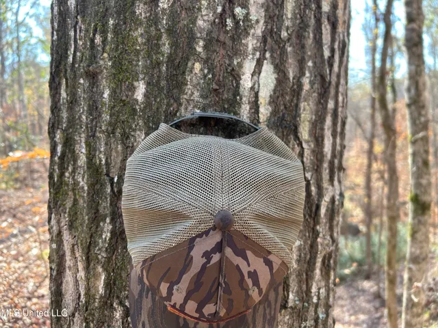 $192,500 | Henderson Road, Bentonia, MS 39040