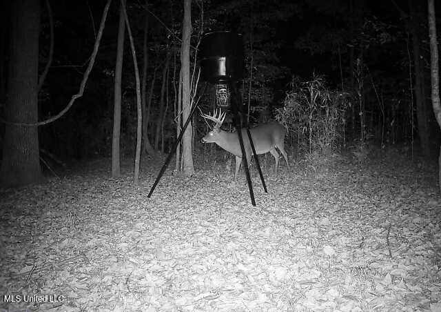 Henderson Road Bentonia, MS 39040 - Photo 42 of 59 864049056372180-100-3-11162025045150-W10