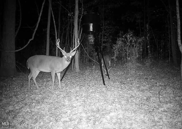 $192,500 | Henderson Road, Bentonia, MS 39040