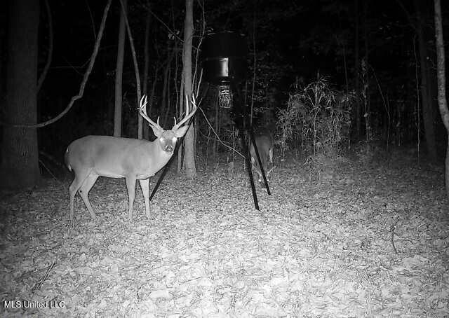 Henderson Road Bentonia, MS 39040 - Photo 44 of 59 864049056372180-100-3-11192025222054-W10