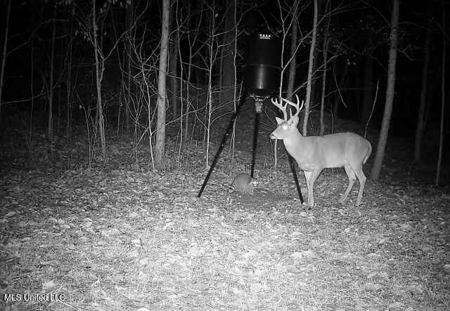 Henderson Road Bentonia, MS 39040 - Photo 48 of 59 IMG_2002
