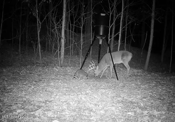 $192,500 | Henderson Road, Bentonia, MS 39040