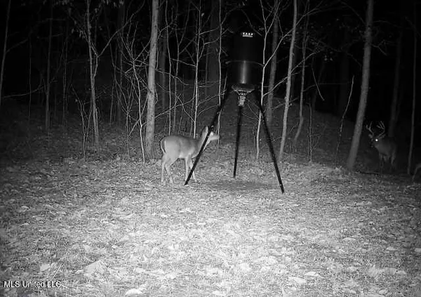 $192,500 | Henderson Road, Bentonia, MS 39040