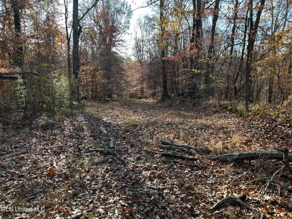 $192,500 | Henderson Road, Bentonia, MS 39040
