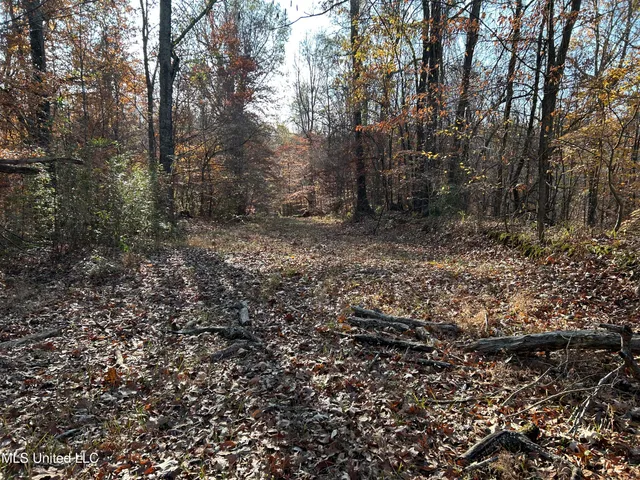 $192,500 | Henderson Road, Bentonia, MS 39040