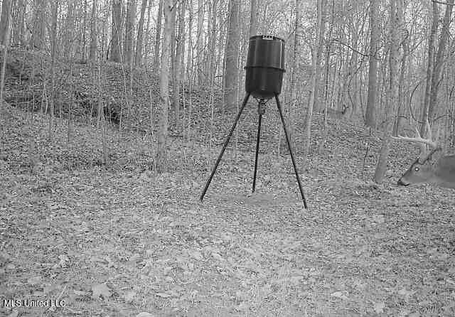 Henderson Road Bentonia, MS 39040 - Photo 51 of 59 IMG_2010