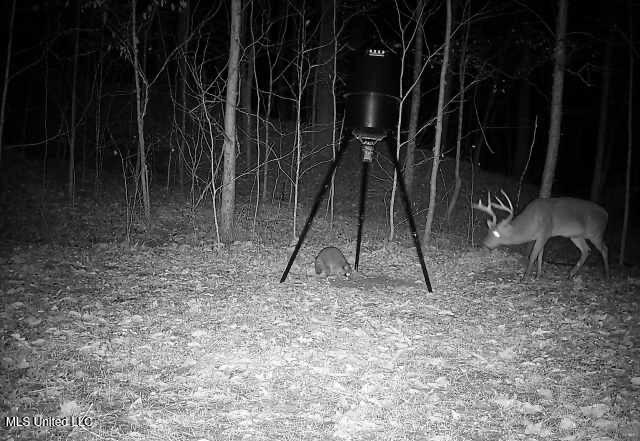 Henderson Road Bentonia, MS 39040 - Photo 52 of 59 IMG_2017