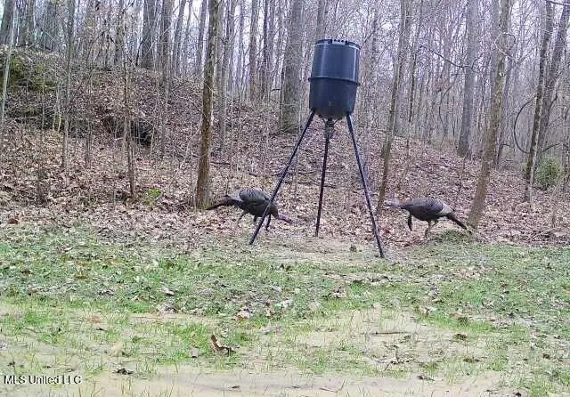 $192,500 | Henderson Road, Bentonia, MS 39040