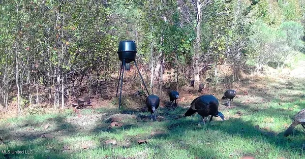 $192,500 | Henderson Road, Bentonia, MS 39040