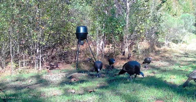 $192,500 | Henderson Road, Bentonia, MS 39040