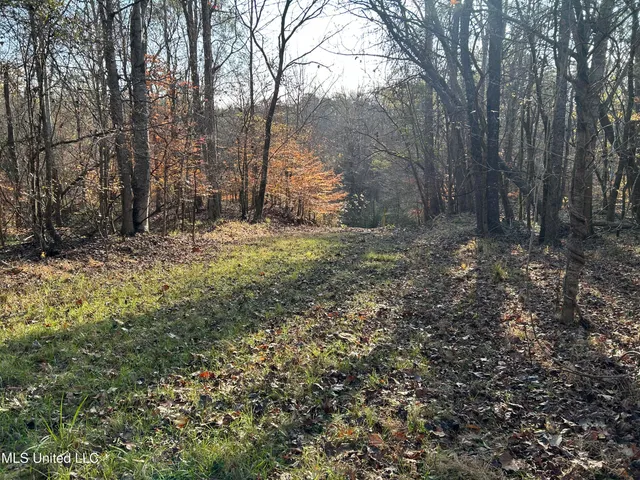 $192,500 | Henderson Road, Bentonia, MS 39040