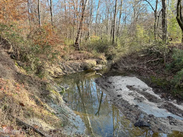 $192,500 | Henderson Road, Bentonia, MS 39040