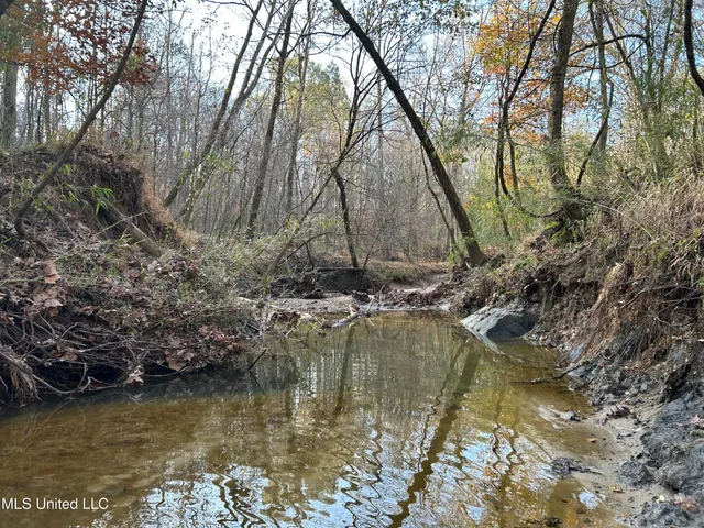 $192,500 | Henderson Road, Bentonia, MS 39040