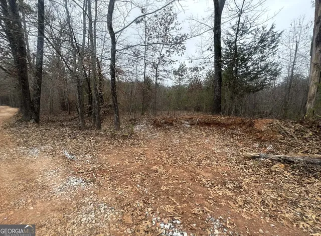 $35,000 | 0 Celia Drive, Toccoa, GA 30577