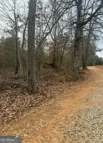 $35,000 | 0 Celia Drive, Toccoa, GA 30577