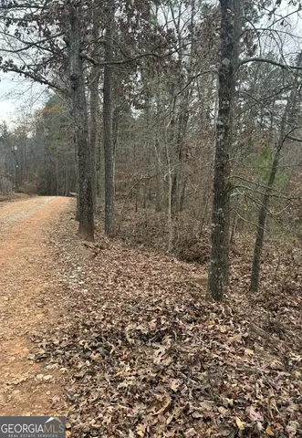 $35,000 | 0 Celia Drive, Toccoa, GA 30577