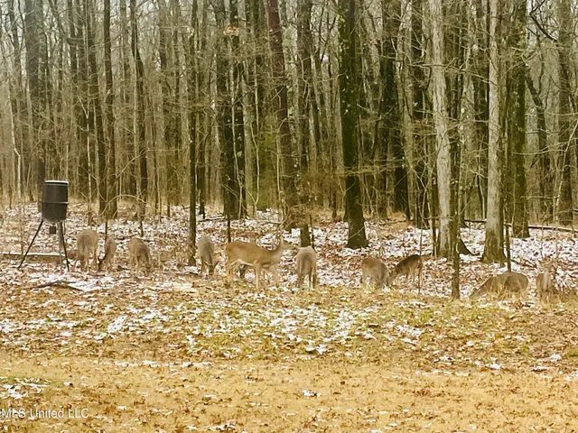 $524,900 | 1425 Pine Hill Drive, Raymond, MS 39154