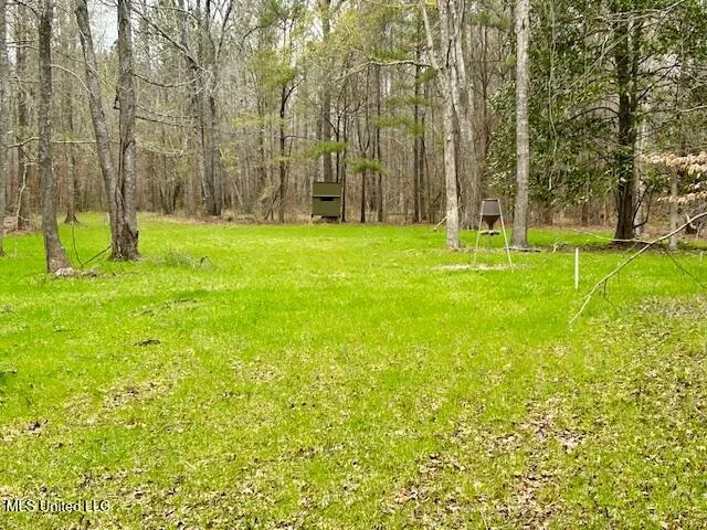 $839,500 | 12371 Mcnair Road, Roxie, MS 39661