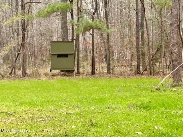 $839,500 | 12371 Mcnair Road, Roxie, MS 39661