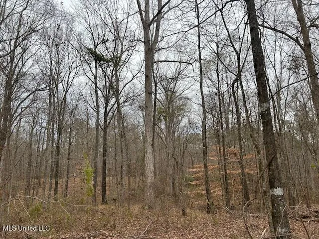 $839,500 | 12371 Mcnair Road, Roxie, MS 39661