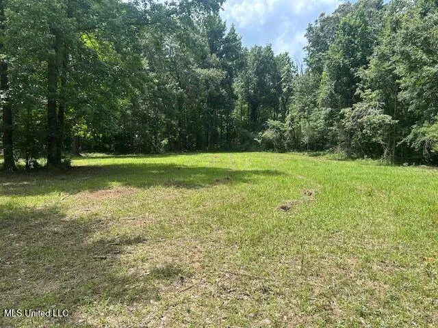 $839,500 | 12371 Mcnair Road, Roxie, MS 39661