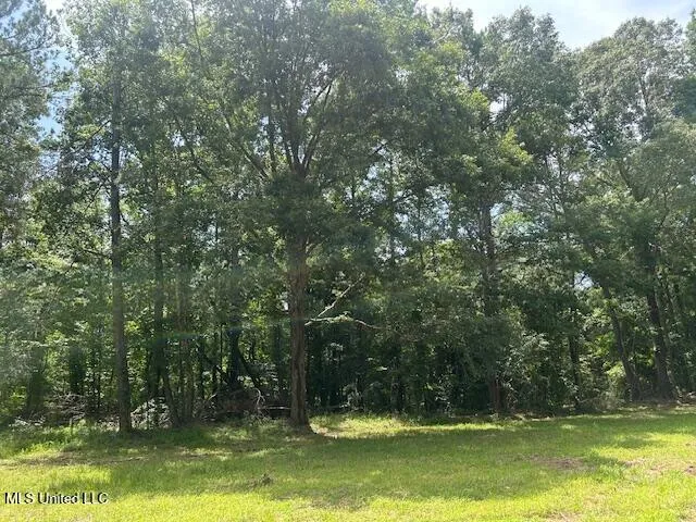 $839,500 | 12371 Mcnair Road, Roxie, MS 39661