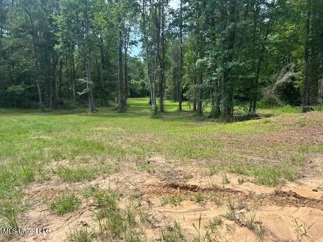 $839,500 | 12371 Mcnair Road, Roxie, MS 39661