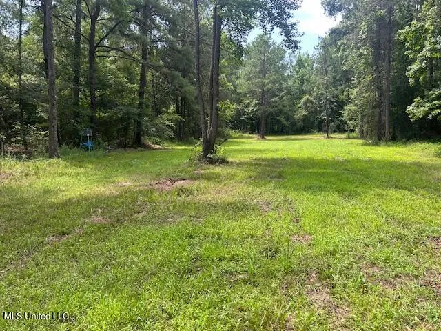 $839,500 | 12371 Mcnair Road, Roxie, MS 39661